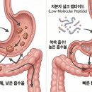 세화약품(주) 이미지