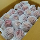 사광농장 이미지