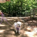 나리목장2 이미지