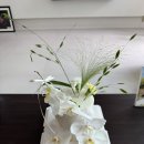 그레이101 | 마지오케이크강남 부모님 생일 케이크, 호접란 키큰케이크 얼그레이 후기