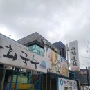 포항수림물회