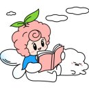 키미파트너스