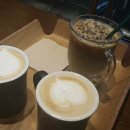 에콜로지아 이미지