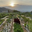 해피농장 이미지