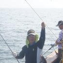 번출후기 4부-&#34;외연도&#34; 1박~~2일~~! 조황과 바다풍경들,아쉬움을 남기고... 이미지