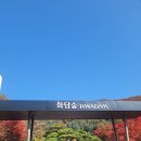 번지없는주막 | [화담숲] 내부 식당 : <번지없는 주막>_ 음식 후기