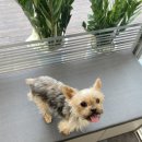 재영동물병원 이미지