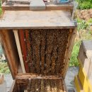 부춘농장 이미지