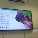 뉴질랜드꿀단지