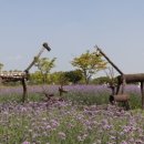 갯골수로1 이미지