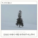 석수역(1호선) 공중화장실 | 삿포로 비에이 여행 와쿠와쿠 프리미엄 리무진 버스투어 후기