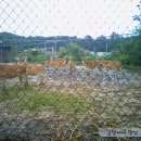 점동농장 이미지