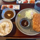 고고 268 이미지