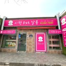 시현펫살롱 이미지