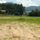 삼기중학교 이미지