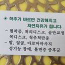 보현바른자세