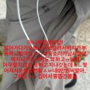 모르는 사람인데 같이 욺 이미지