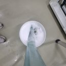 신지면-3 이미지