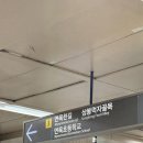 다홍먼
