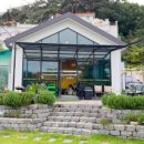 애견의숲 이미지