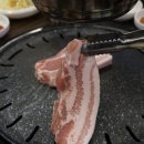 투뿔소 네이버블로그