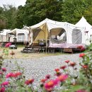 별드림캠핑장 이미지