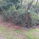 용당1리 이미지