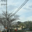 호텔더본제주 | [제주]제주여행 중문 호텔 추천 더본호텔 자세한 후기