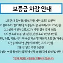 강남파티룸 캠프라운지 포레스트