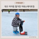 한서유치원 | 대구 아이랑 가볼 만한 곳 팔거천 야외 스케이트장 아이스링크장