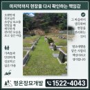 포천 벌초대행 20일 대장정 마무리, 성묘객 안전 위한 장수말벌집 제거까지 이미지