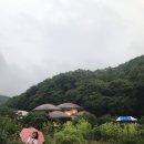 용인 양지에 위치한 자작나무이야기 이미지