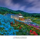 화랑마을-4 이미지