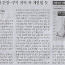 포장나라