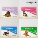 드림i약국 이미지