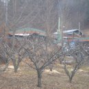 배꽃가든 이미지