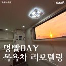 청송영양축협 동물병원(출장진료전문) | 울산 대형견 출장 미용 [ 멍빨DAY ] 골든리트리버...리얼 후기, 피부병 개선을 위한 리트리버 전문 목욕 케