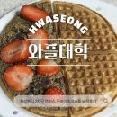 와플대학2지구캠퍼스 | 와플대학 두바이초코와플 솔직후기(화성봉담2지구점,배달)