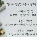 11월 8일 수요일~🌹 이미지