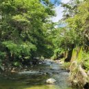 월성계곡 화장실 이미지