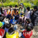 정읍사공원 유아숲체험원 이미지