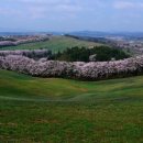 삼화농장 이미지