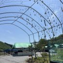 충북오토바이 | 충북 진천 애견동반 캠핑장 산과 벗 캠핑장 직접 다녀온 후기