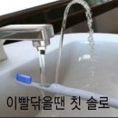 도레미파도 이미지