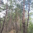 약수산장 이미지