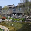 연계마을남성경로당 | 중국제남여행, 다와 지난 다밍호, 아코르플래티넘, 녹물 이슈로 8호 코트야드 호텔 워킹서비스 후기