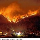 아주녹화개발㈜ 네이버블로그