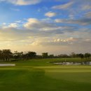 베스트 오브 벨리 이미지