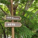 공단옛길 이미지
