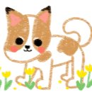 쪼코의옷장 이미지